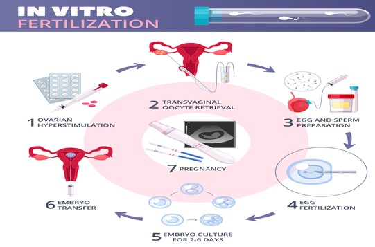 Low Cost IVF Treatement