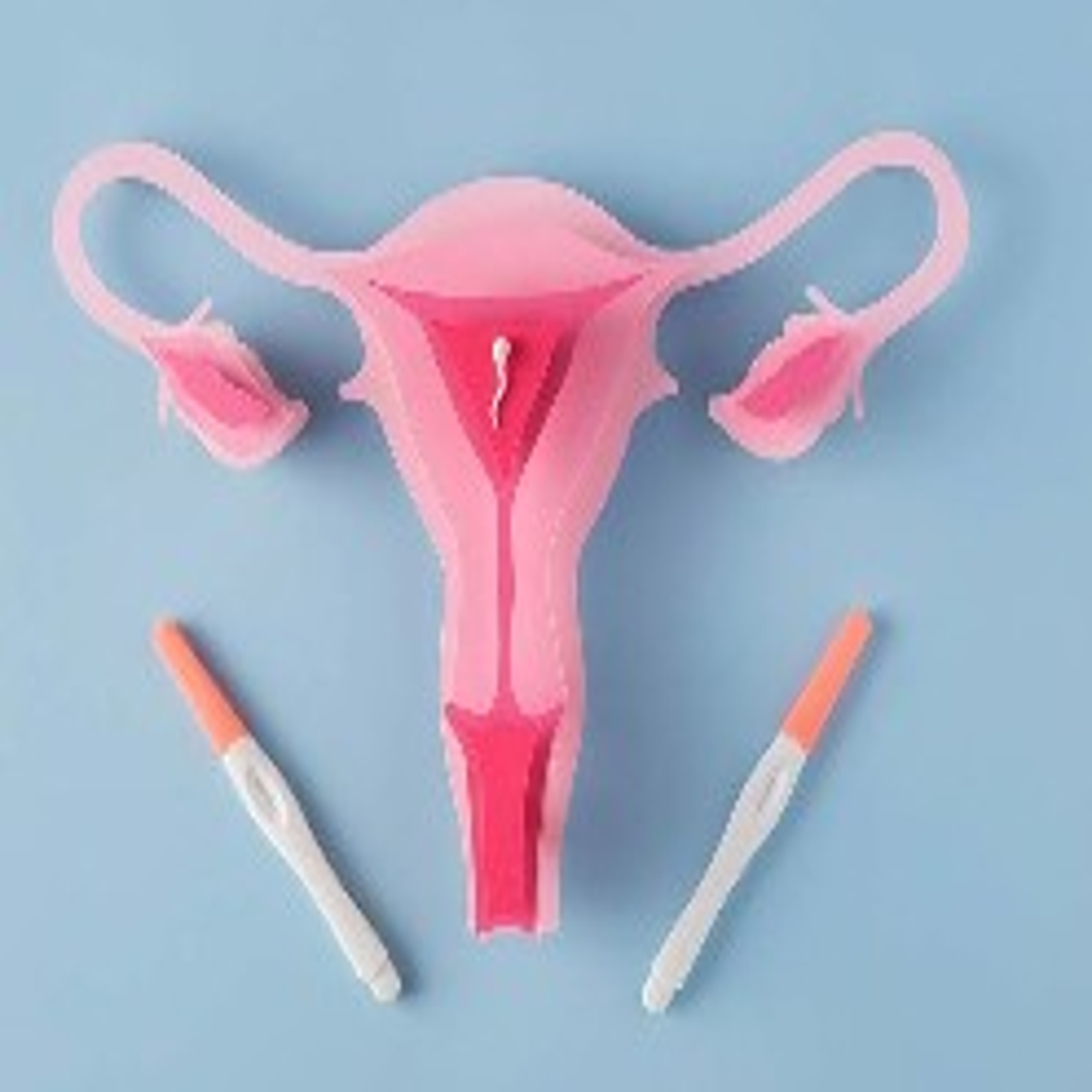 resized_image_1_1024