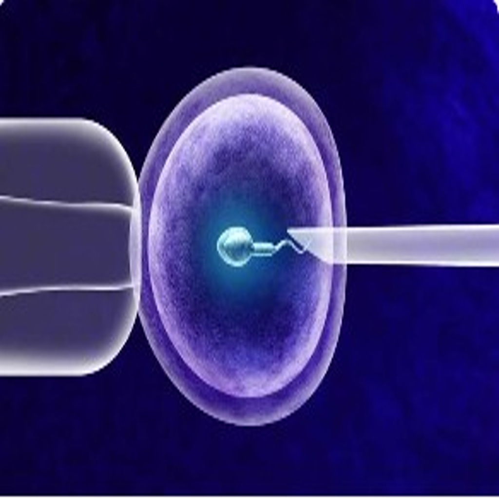 resized_image_3_1024